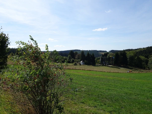 Blick auf die kleine Siedlung Holt Panoramablick über eine Wiese. Im Hintergrund Wald und die Ortschaft "Holt".