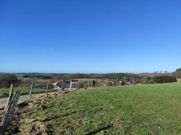 Blick in Richtung Beckinghausen Eine Wiese angrenzent an einen asphaltieren Weg. Ein Stacheldrahtzaun befindet sich dazwischen. Am Horizont ist Wald. Der Himmel ist tiefblau.