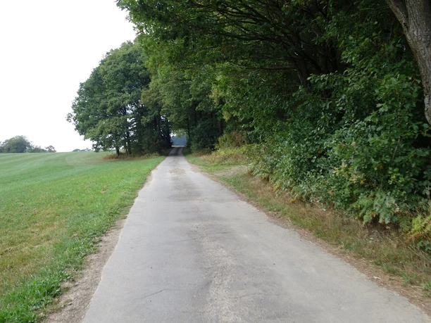 Der asphaltierte Wegeverlauf auf der Anhöhe