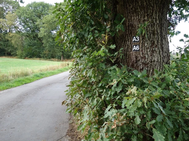 Das Makierungszeichen führt uns den Weg entlang