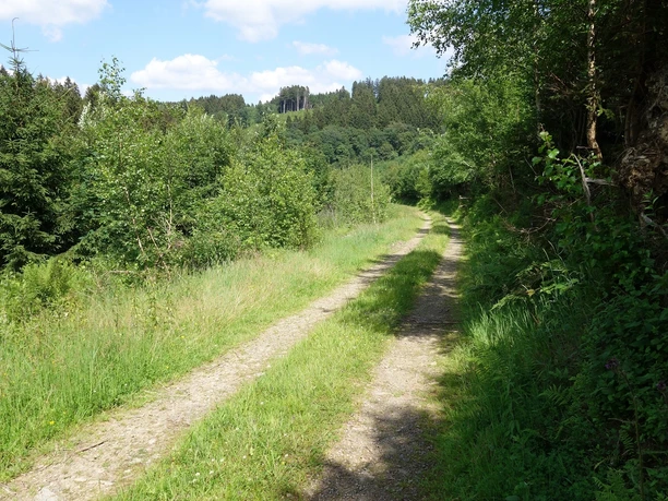 Zwischen Kränenberg und Hohhardt lässt es sich gemütlich wandern