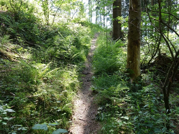 Enge, naturnahe Pfade sind auch Wegebestandteil