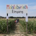Maislabyrinth Liederbach