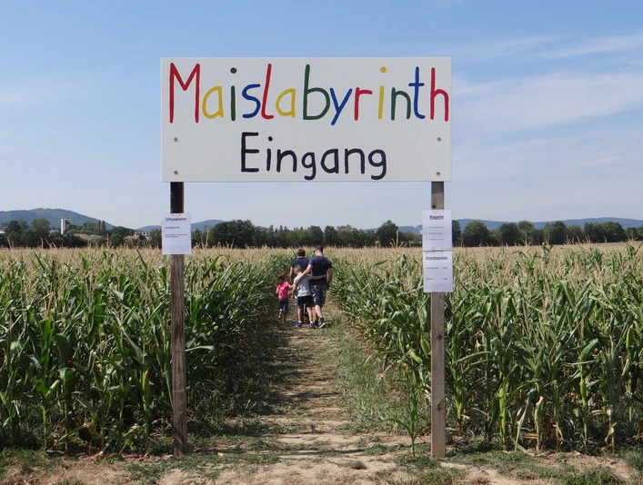 Maislabyrinth Liederbach