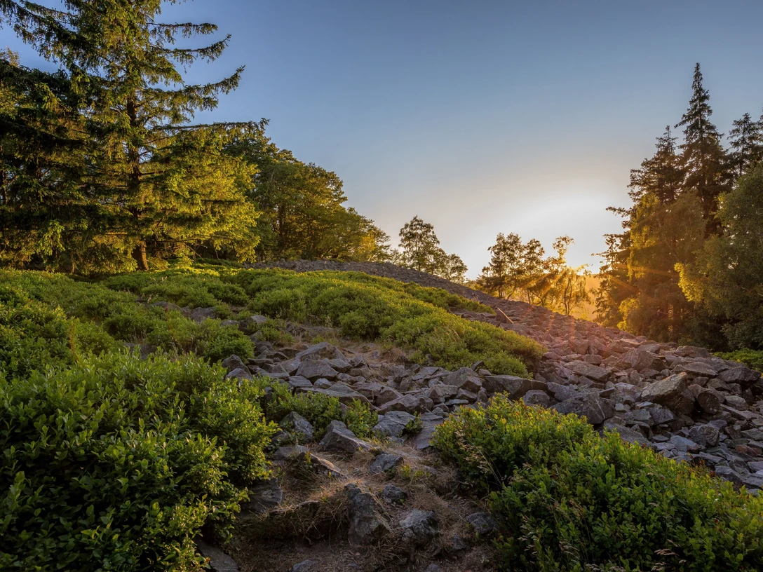 Weiße Mauer im Herbst