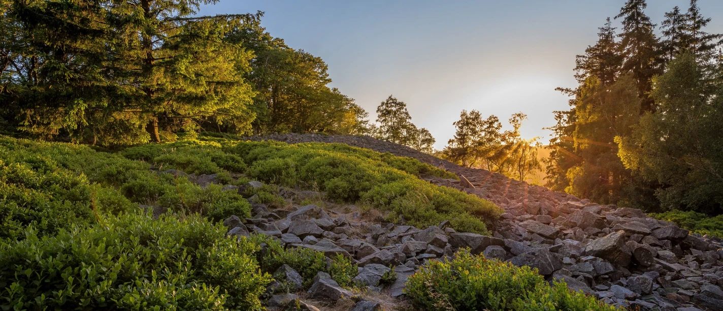 Weiße Mauer im Herbst