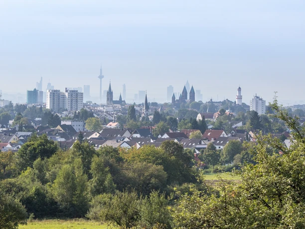 Blick aus dem Kirdorfer Feld auf Bad Homburg und die Frankfurter Skyline