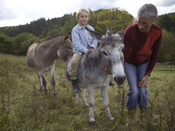 Begegnung mit Eseln