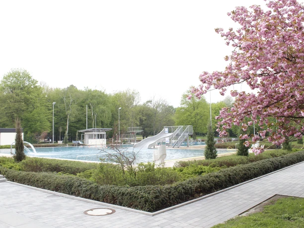 Das Parkbad zur Zeit der Kirschblüte.