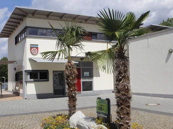 Vor dem Parkbad wurden vor Jahren Palmen eingepflanzt.