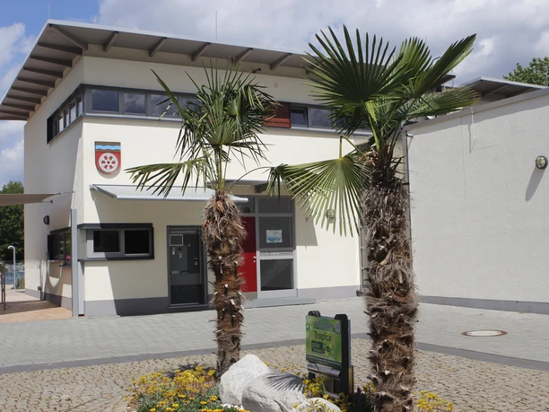 Vor dem Parkbad wurden vor Jahren Palmen eingepflanzt.