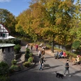 Blick vom Ludwigsbrunnen in den Südpark