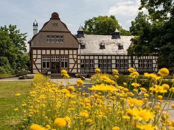 Wildblumen vor der Bad Nauheimer Stadtbücherei
