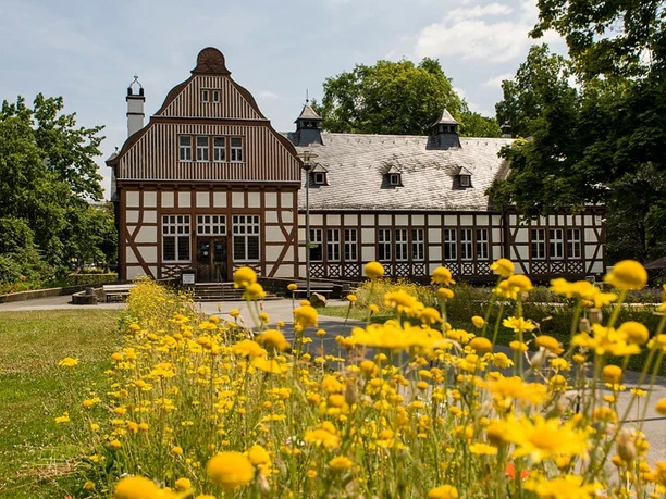 Wildblumen vor der Bad Nauheimer Stadtbücherei