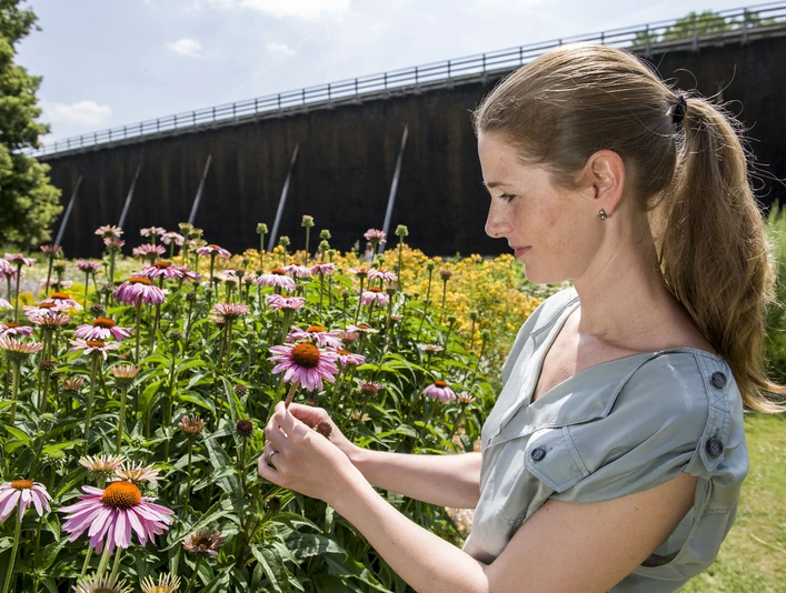 Gesundheitsgarten in Bad Nauheim