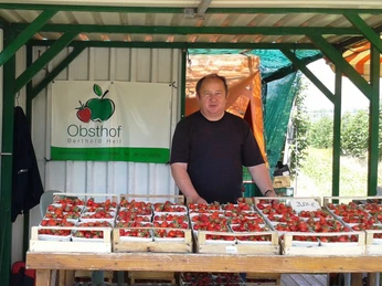 Beeren frisch vom Feld am Stand an der L 3018.