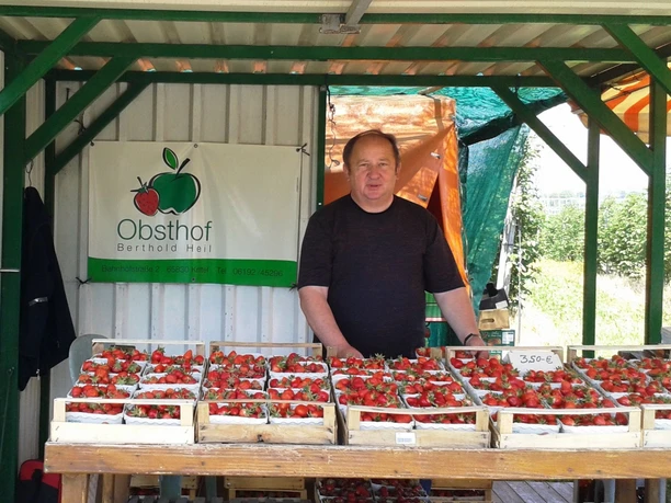 Beeren frisch vom Feld am Stand an der L 3018.