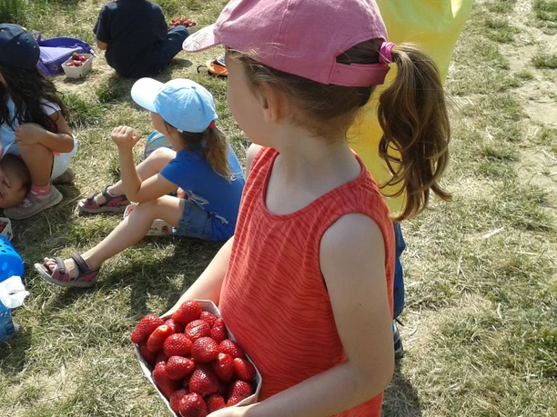 Führungen für Kinder gehören zum Angebot.