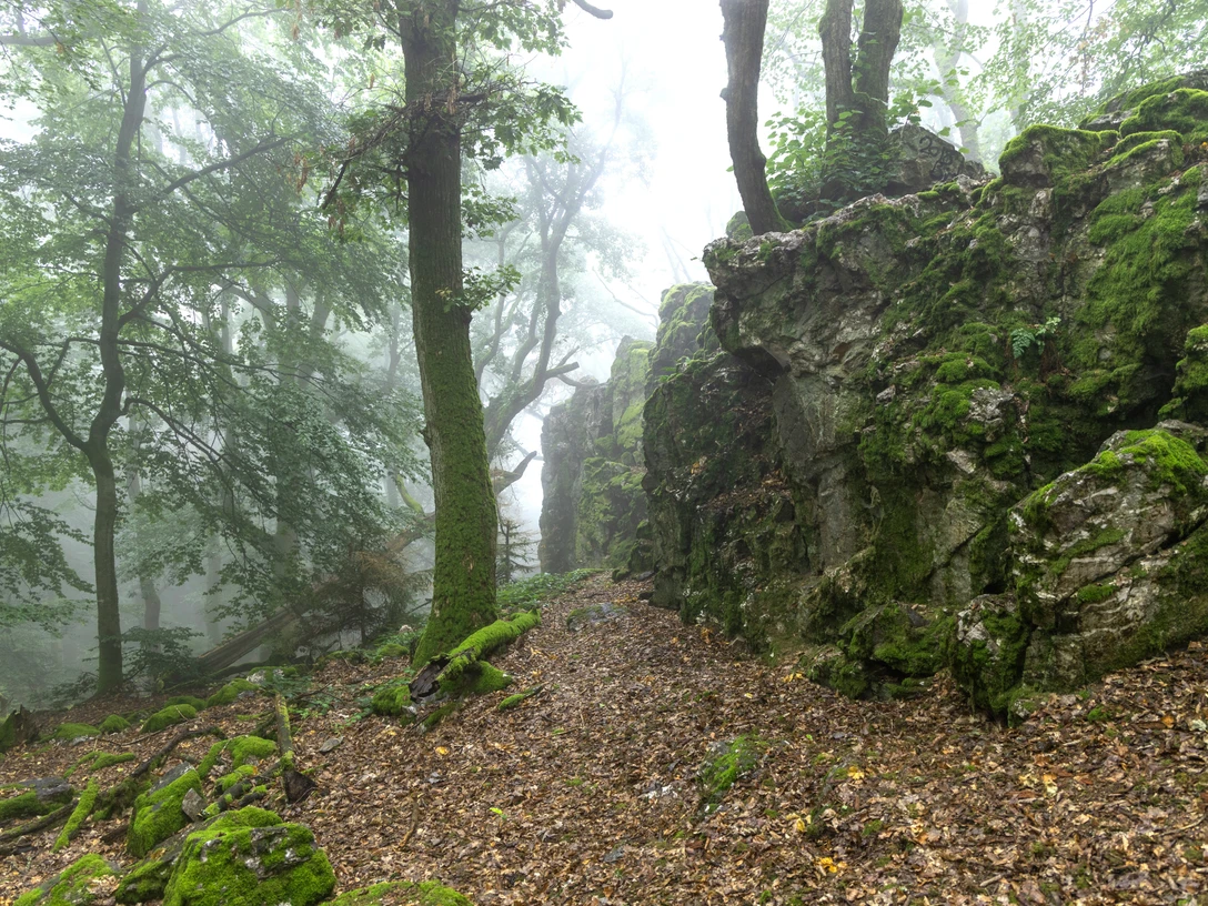 Goldgrubenfelsen