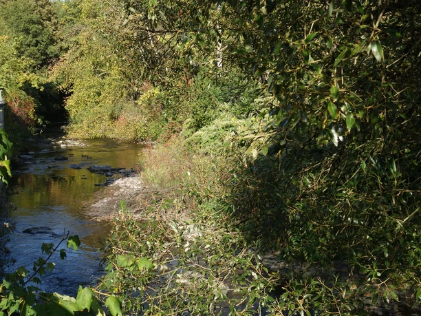 Die Volme in Dahlerbrück