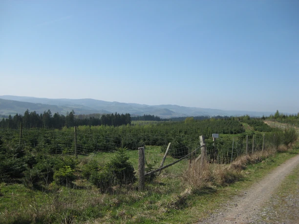 Aussicht Hubertushöhe