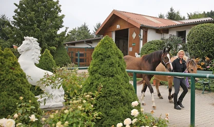 Reitzentrum Hohenstein