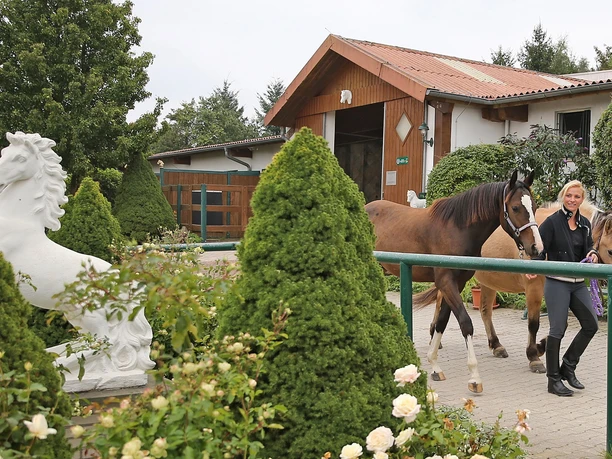 Reitzentrum Hohenstein