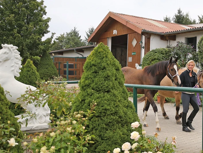 Reitzentrum Hohenstein