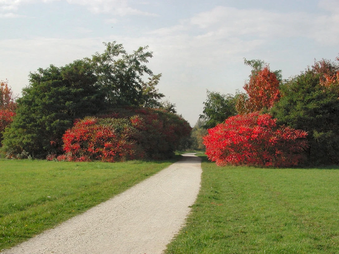 Arboretum Main-Taunus