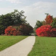 Arboretum Main-Taunus