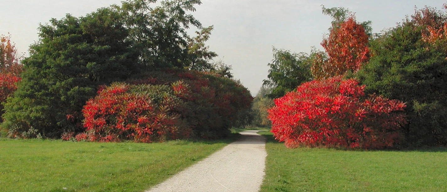 Arboretum Main-Taunus