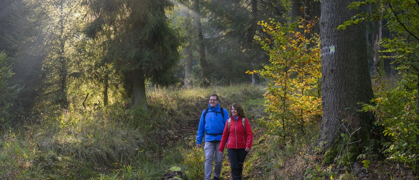 Auf der Sauerland-Waldroute am Möhnesee