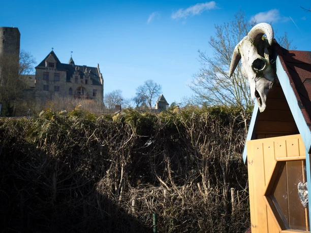 Grillkota mit Blick auf Schloss Kransberg