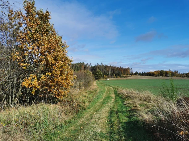 Unterwegs auf dem Waldrouten-Rundweg