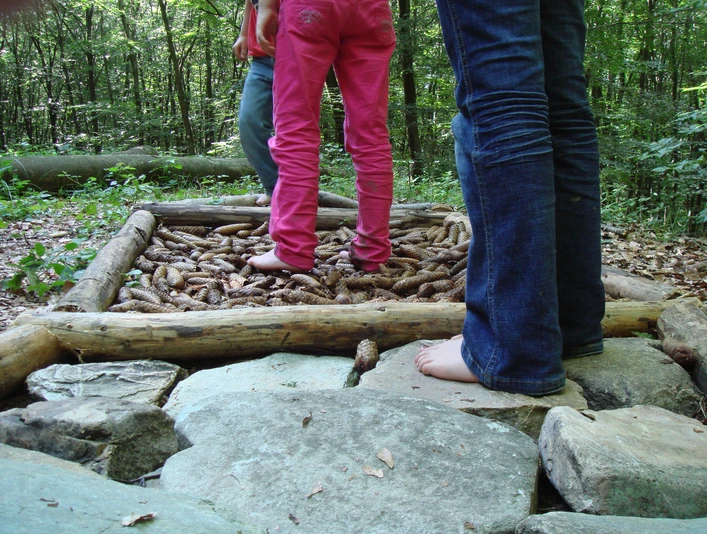 Barfußpfad auf dem Waldlehrpfad Bremthal