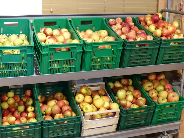 Frisch, gut und schmackhaftes Obst aus eigenem Anbau.