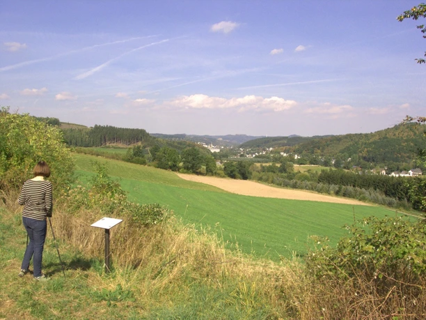 In der Eitmicke mit Blick auf Sundern