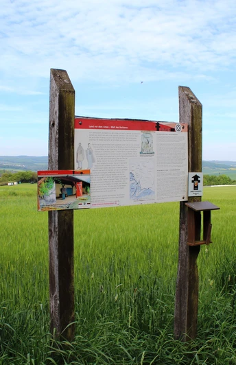 Limes-Rundweg Georgenthal