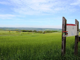 Limes-Rundweg Georgenthal
