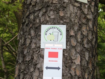 Limes-Rundweg Georgenthal