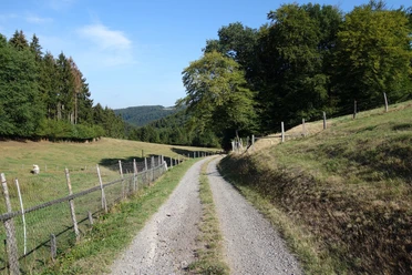 Gut zu gehende Schotter-, Forst- und Asphaltwege sind typisch für diesen Rundweg