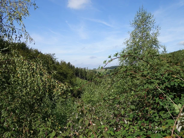 Ausblicke von Kamp in Richtung Everinghausen