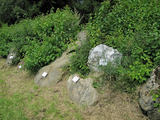 Geologischer Lehrpfad (2)