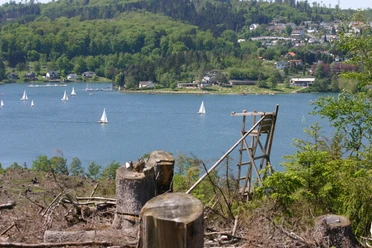 Blick vom Höhweg