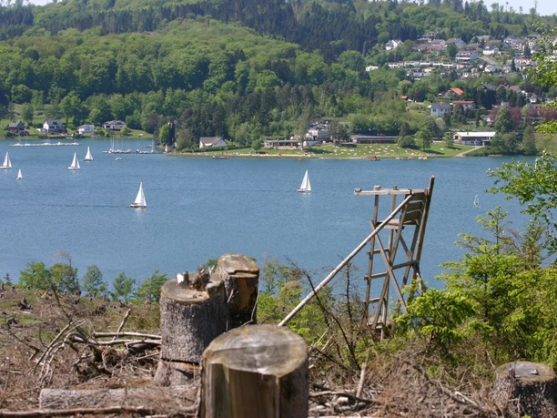 Blick vom Höhweg