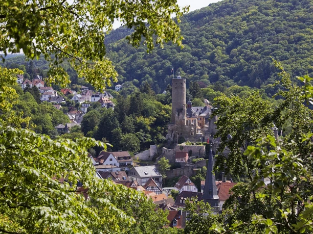 Blick auf Eppstein von Bergpark Villa Anna