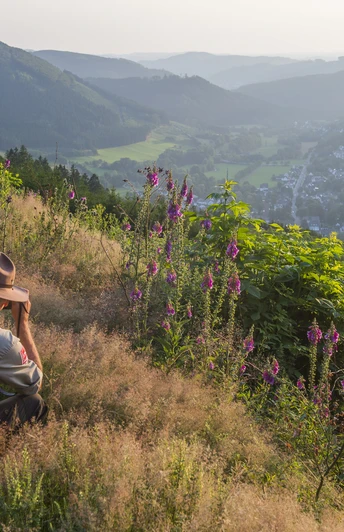 Fernblick vom Lenne-Weg