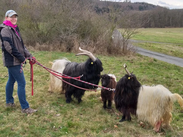 Ihre Begleiter beim Ziegentrekking