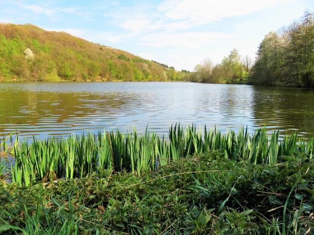 Möttauer Weiher Möttauer Weiher