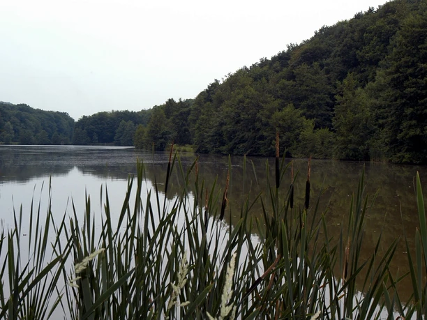 Möttauer Weiher Möttauer Weiher